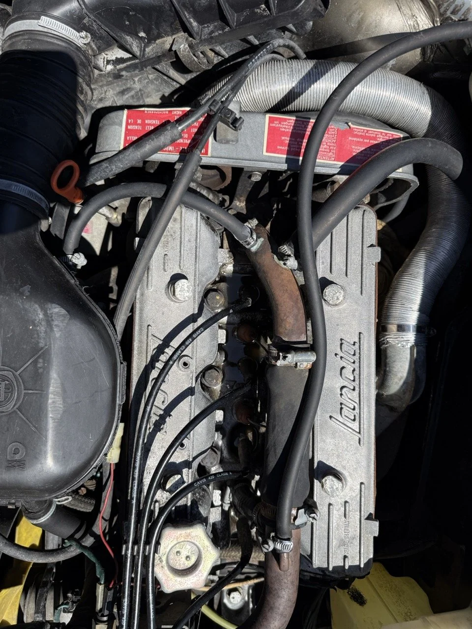 IMG_1898 – grande.jpeg