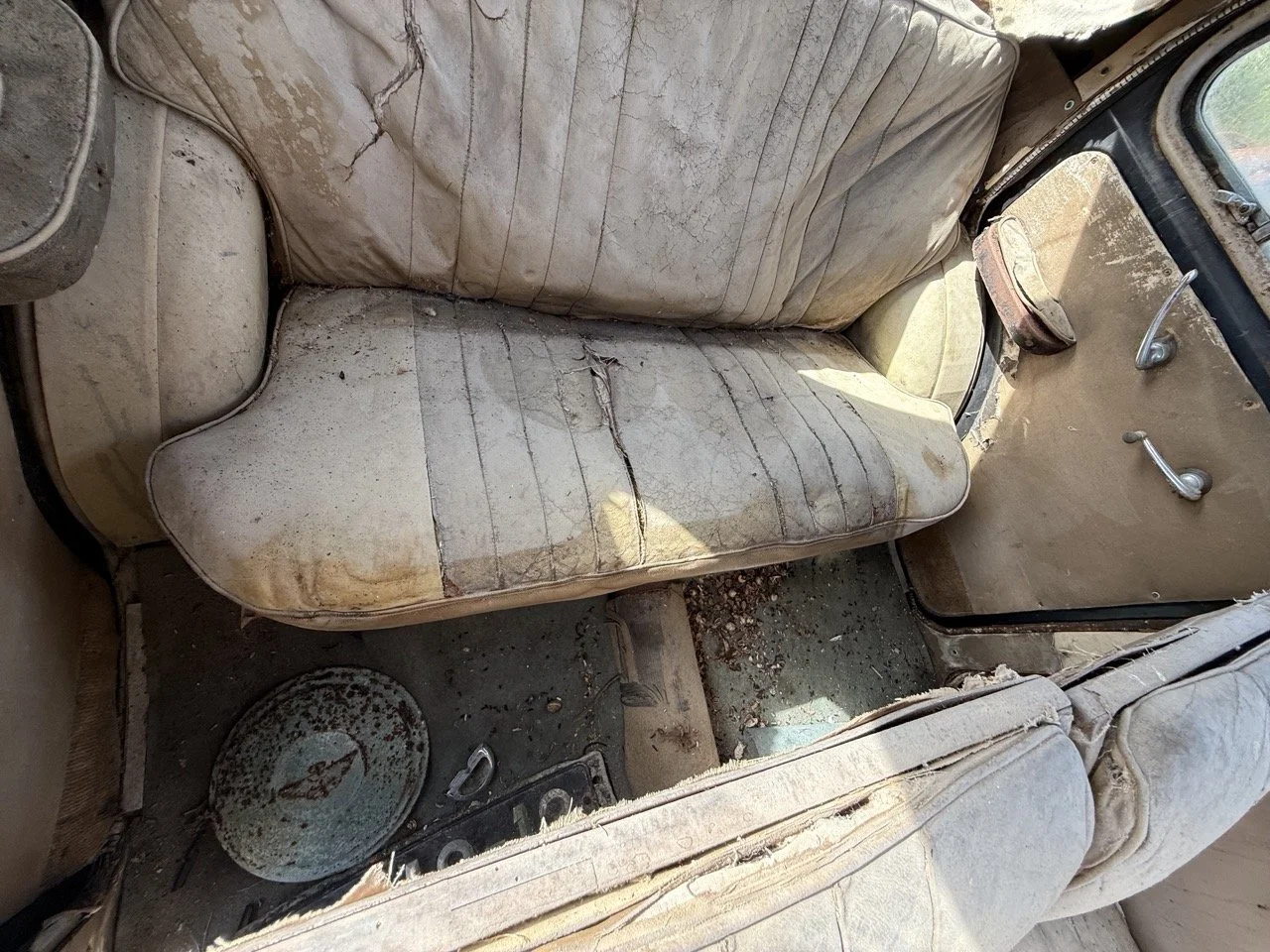 IMG_0463 – grande.jpeg