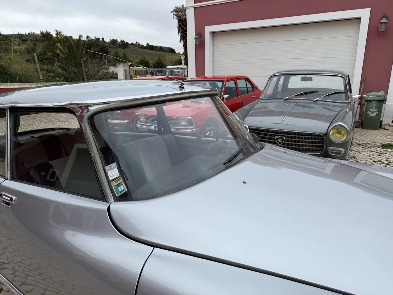 IMG_3753 – grande.jpeg