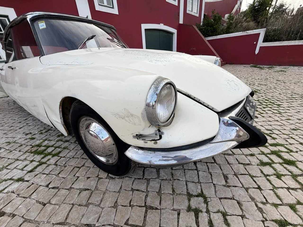 IMG_5981 2 – grande.jpeg