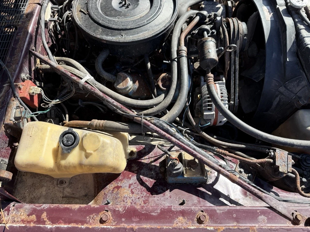 IMG_3035 – grande.jpeg