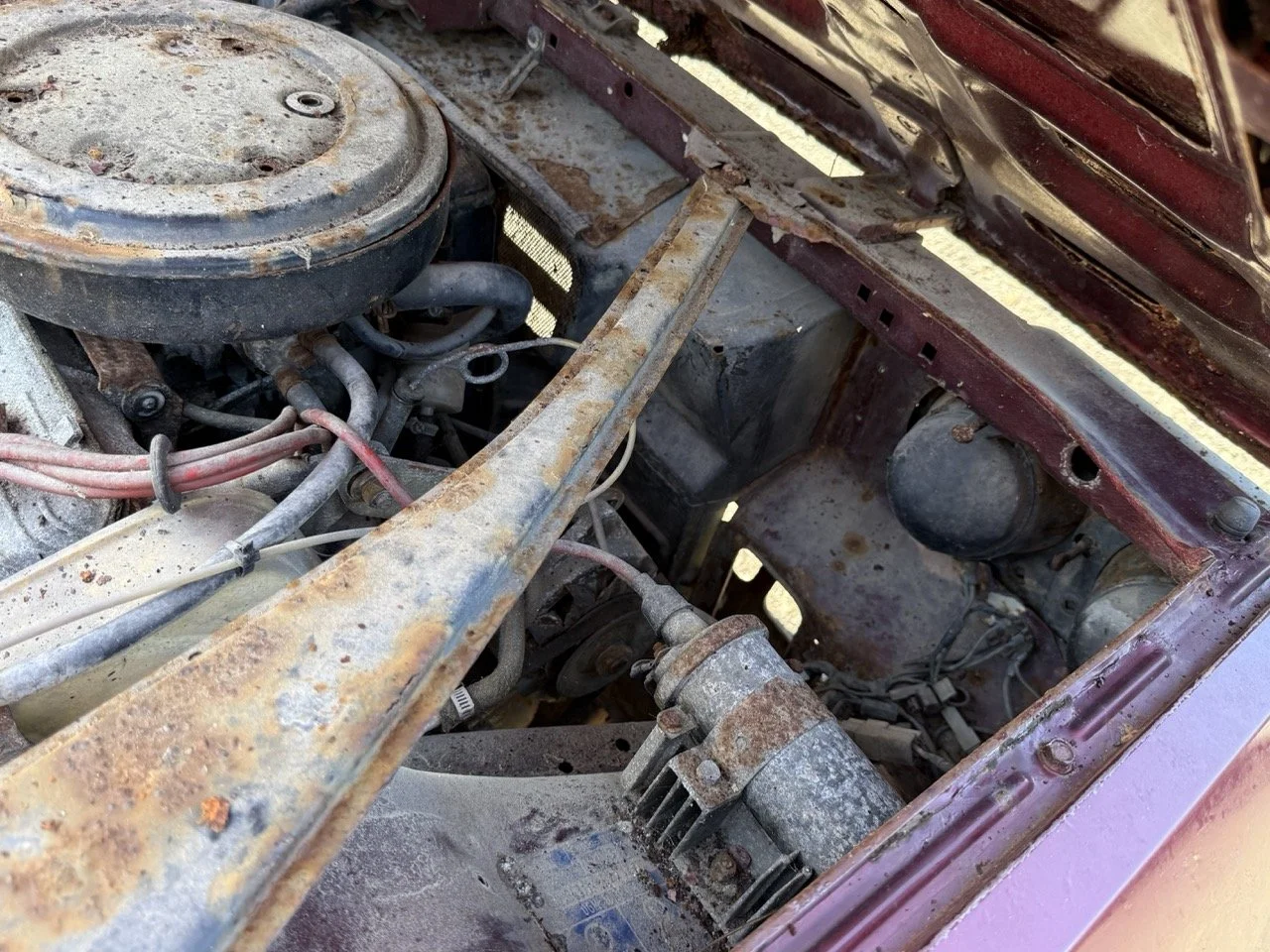 IMG_0922 – grande.jpeg