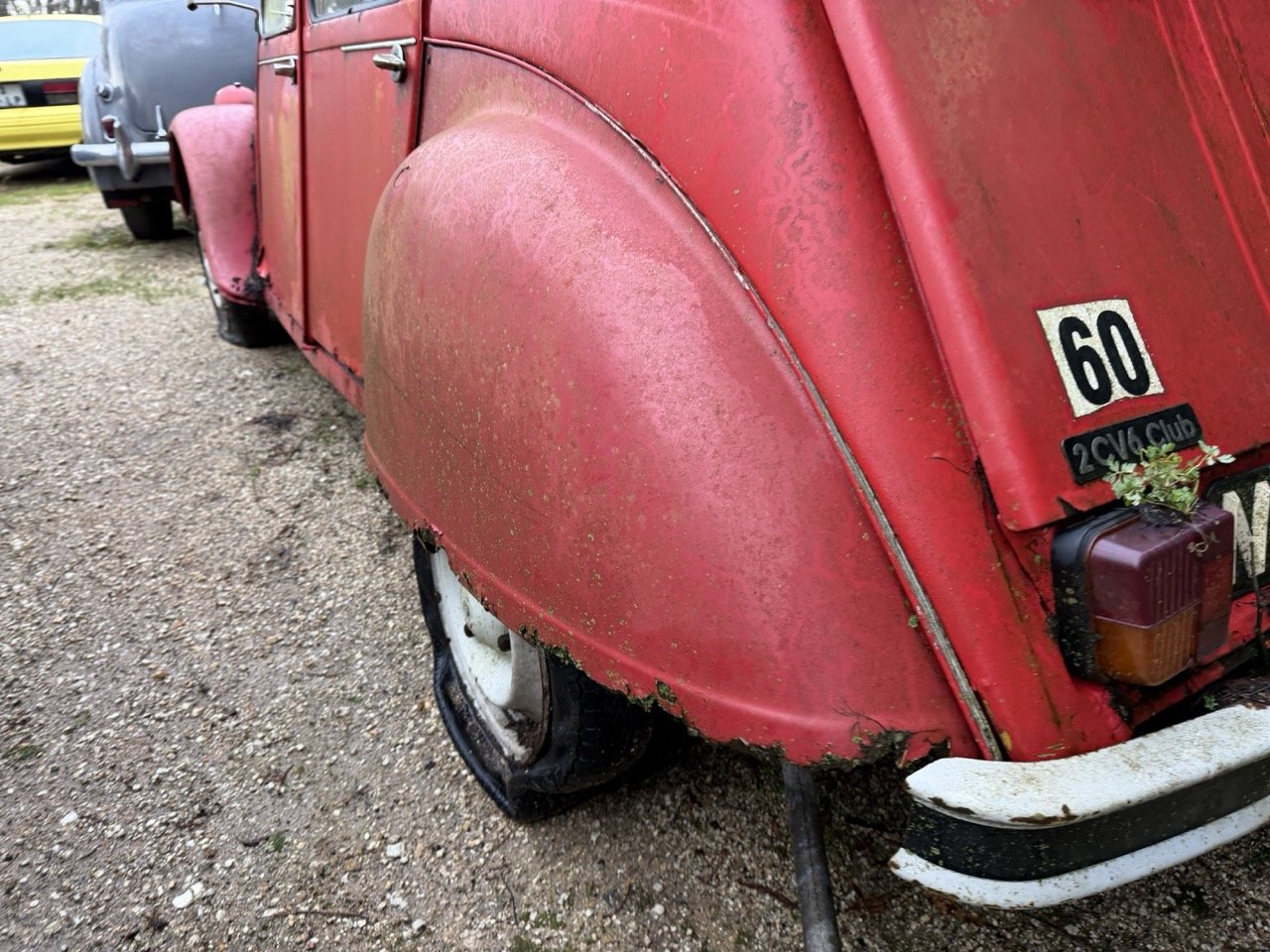 IMG_5483 – grande.jpeg