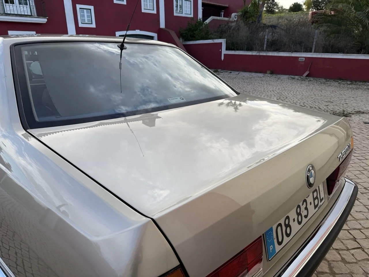 IMG_6999 2 – grande.jpeg