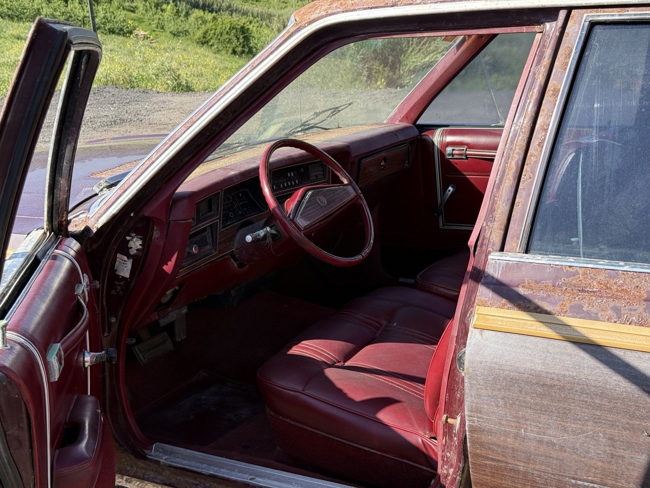 IMG_3010 – grande.jpeg