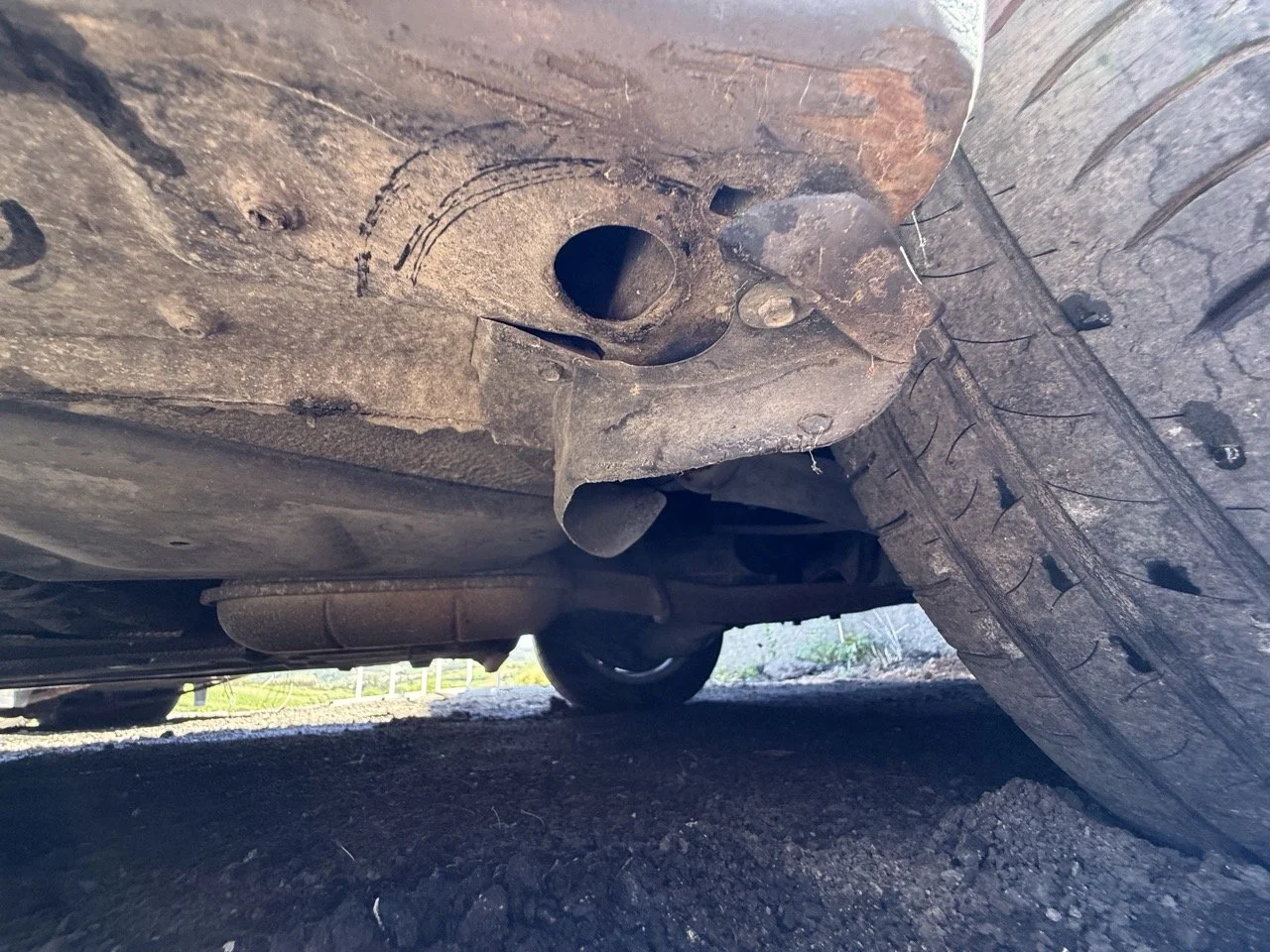 IMG_1798 – grande.jpeg