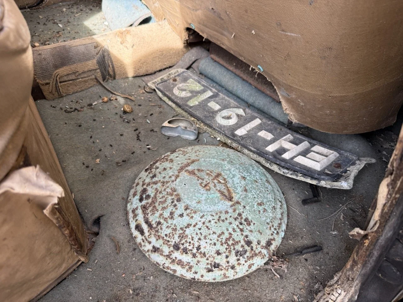 IMG_0441 – grande.jpeg