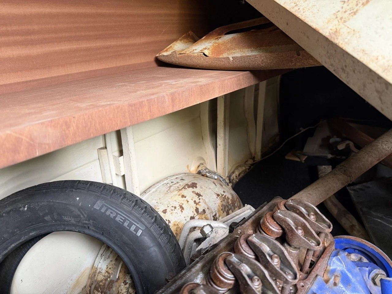 IMG_3946 – grande.jpeg