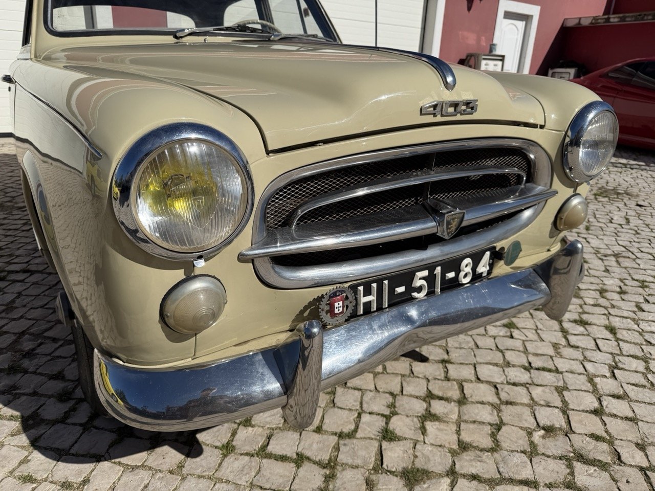 IMG_6747 – grande.jpeg