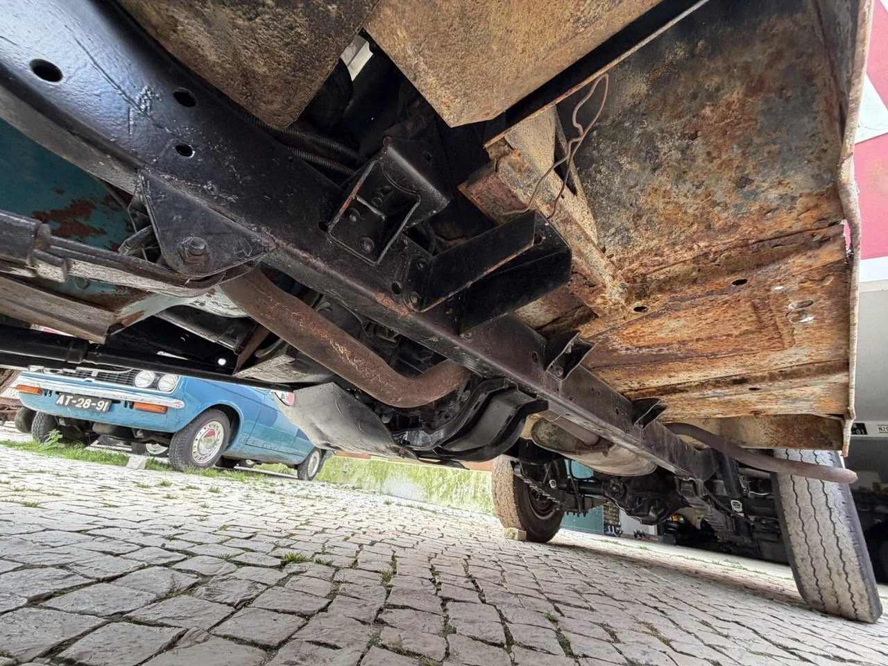 IMG_3938 – grande.jpeg