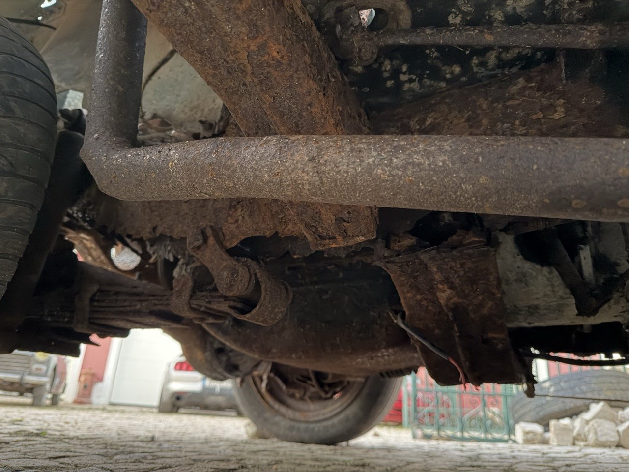 IMG_7479 – grande.jpeg