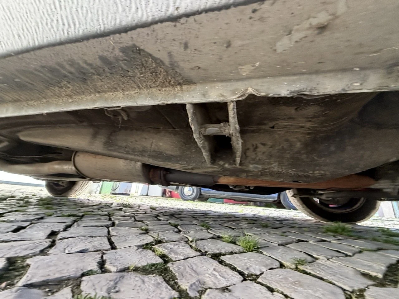 IMG_2039 – grande.jpeg