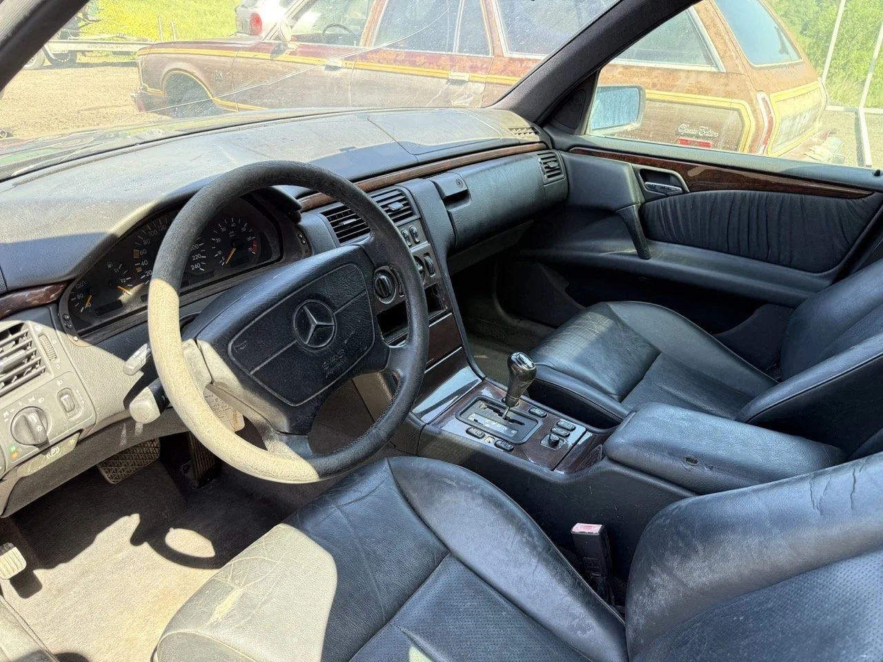 IMG_1732 – grande.jpeg