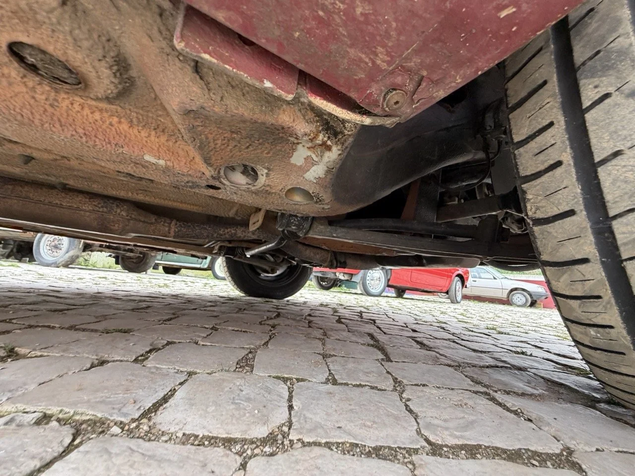 IMG_3654 – grande.jpeg