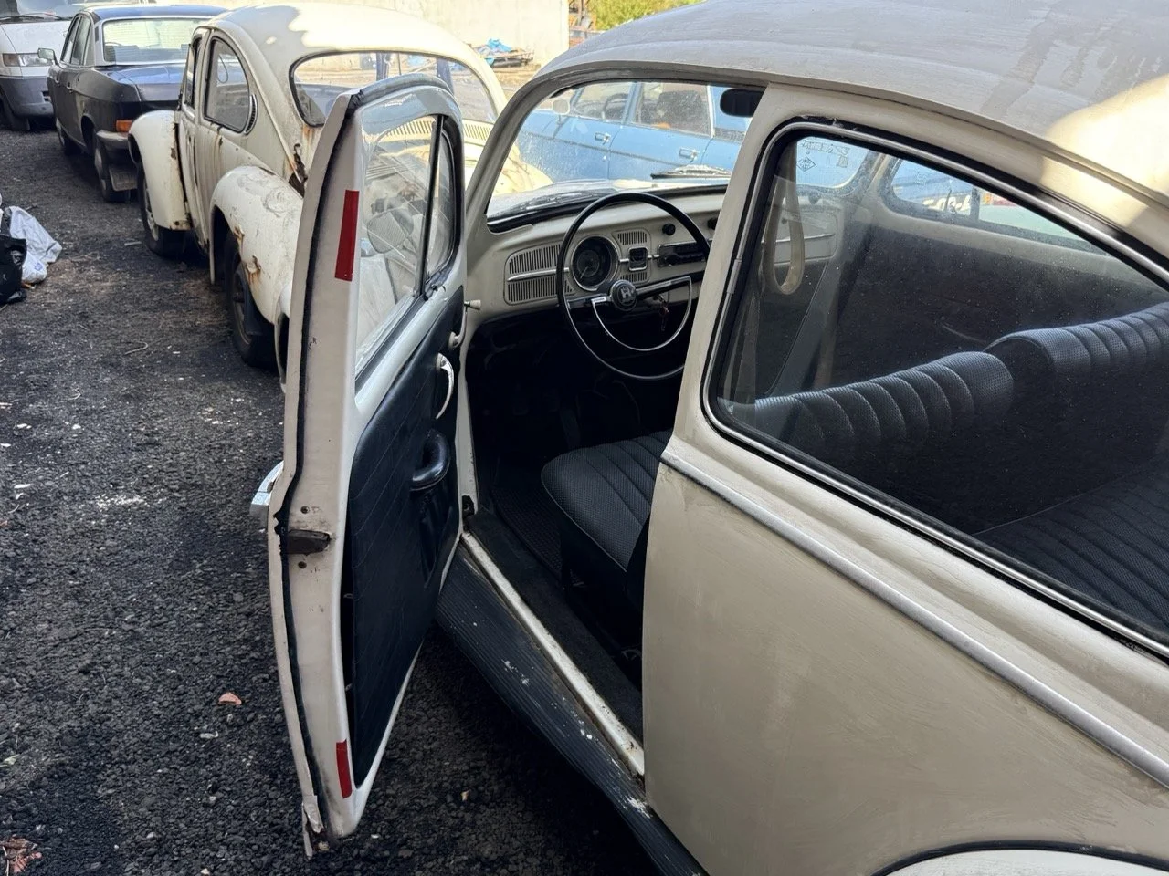 IMG_0680 – grande.jpeg