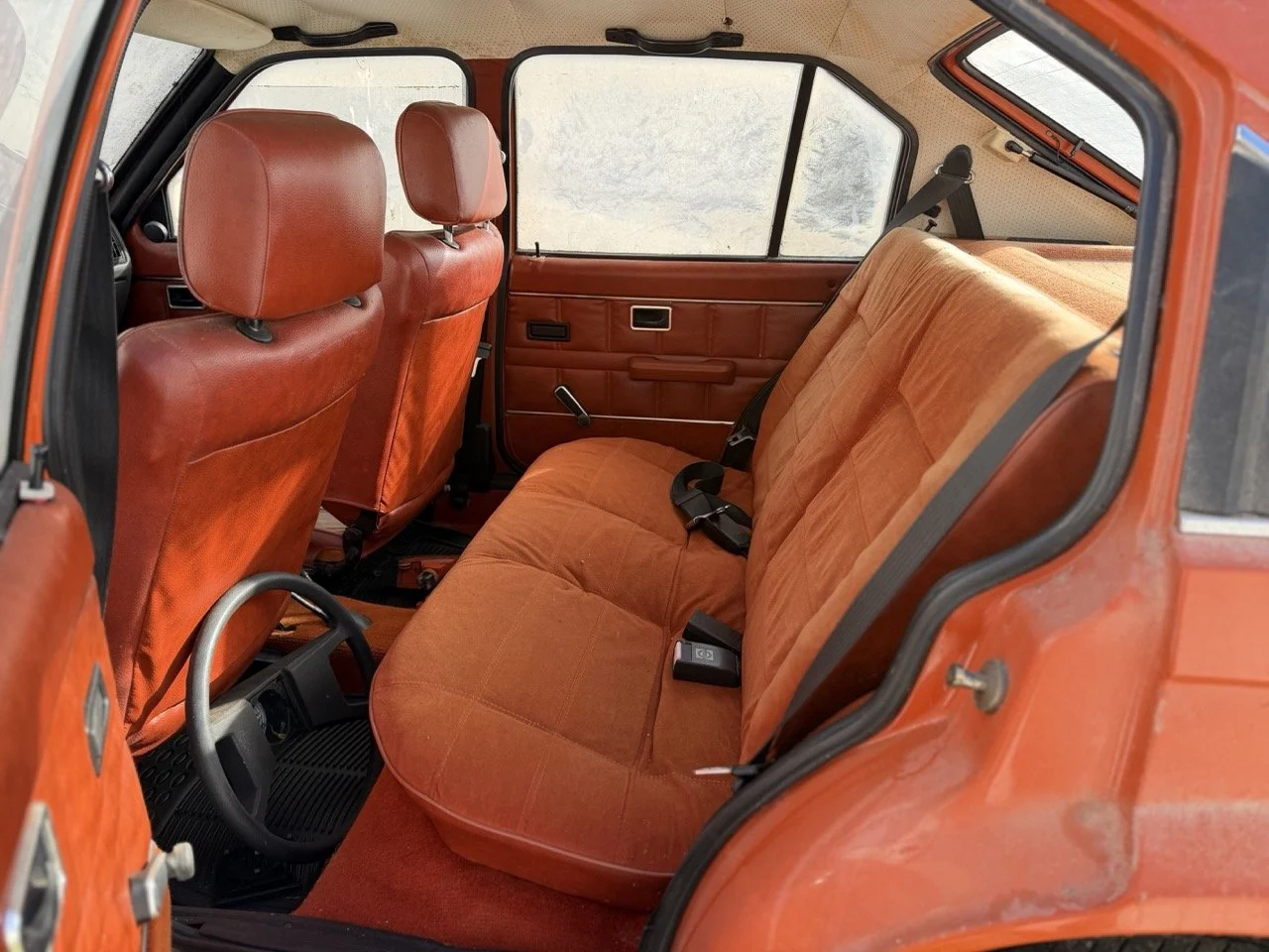 IMG_2937 – grande.jpeg