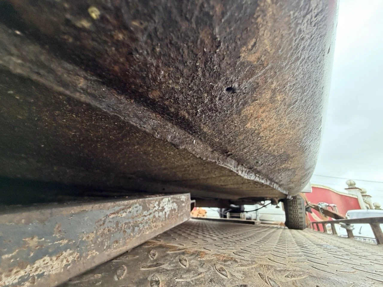 IMG_1906 – grande.jpeg