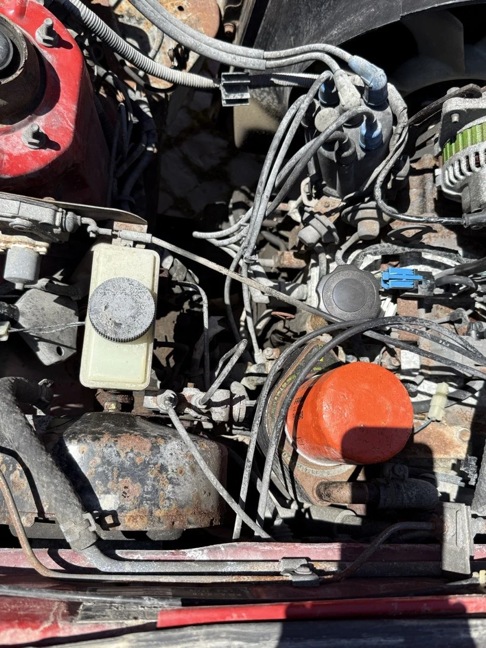 IMG_2053 – grande.jpeg