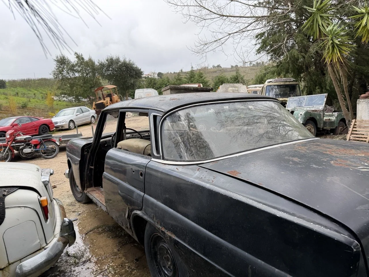 IMG_1930 – grande.jpeg