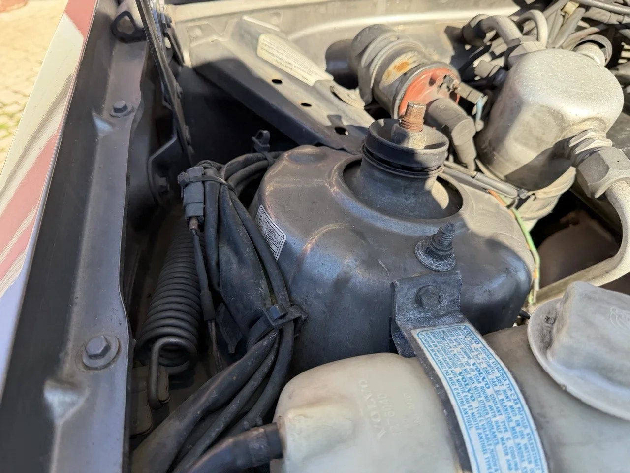 IMG_1982 – grande.jpeg