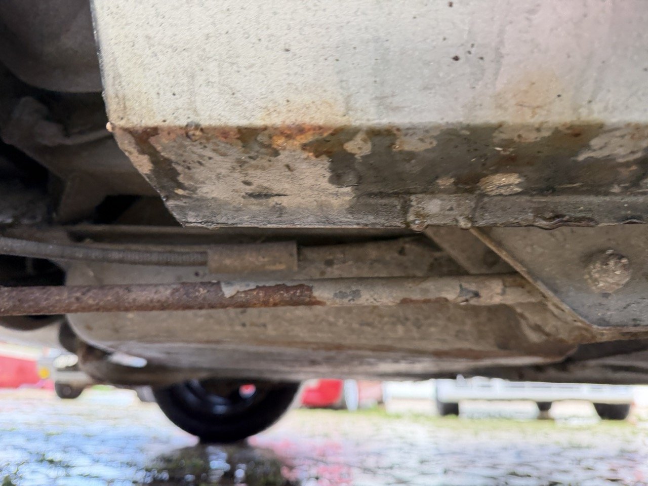 IMG_0653 – grande.jpeg