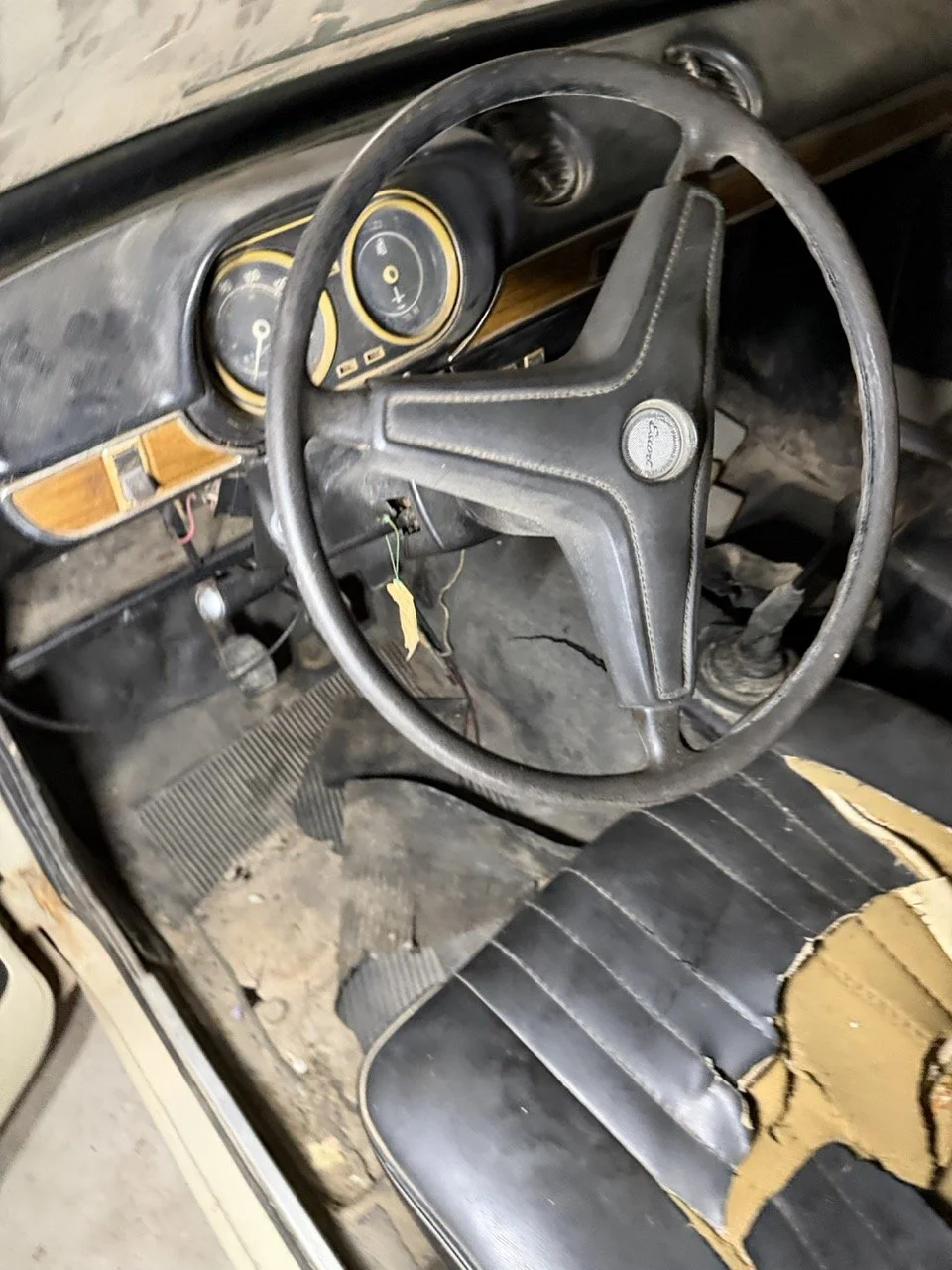 IMG_7125 – grande.jpeg