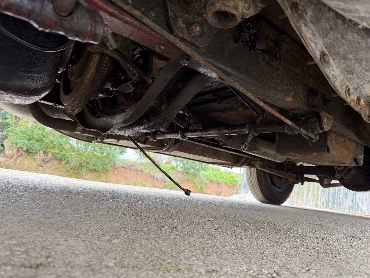 IMG_1569 – grande.jpeg