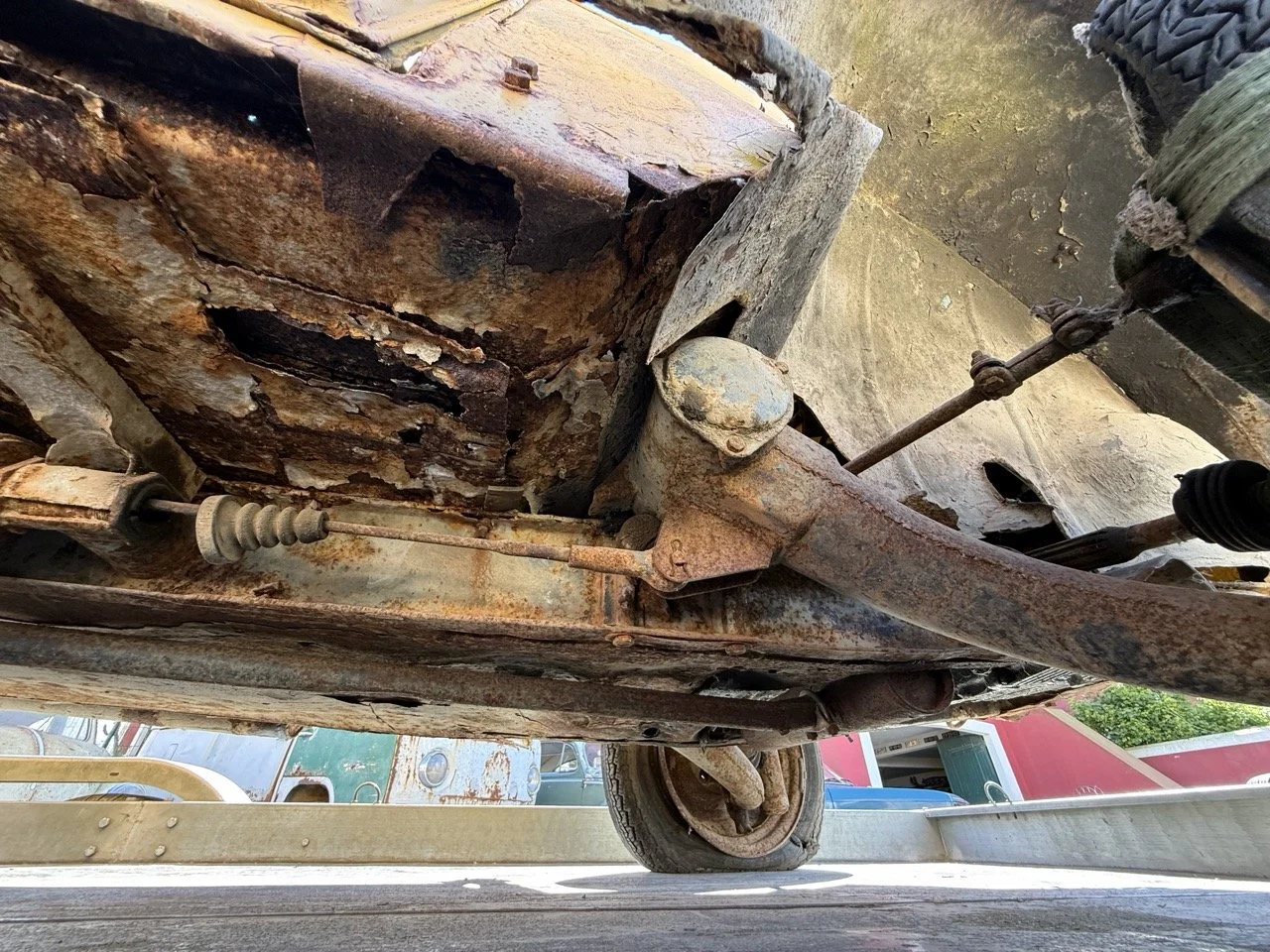 IMG_9139 – grande.jpeg