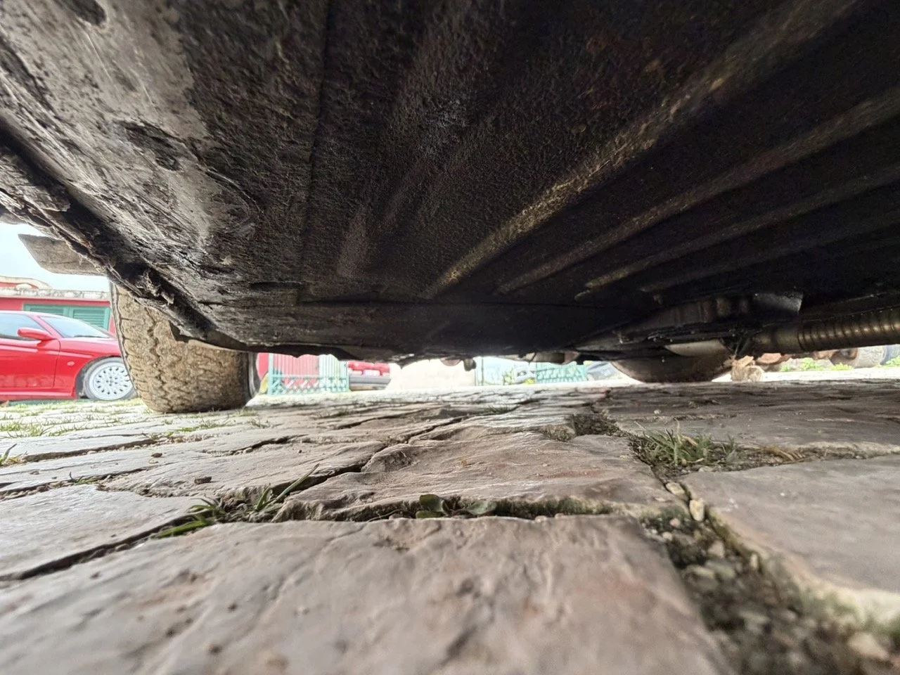 IMG_3780 – grande.jpeg