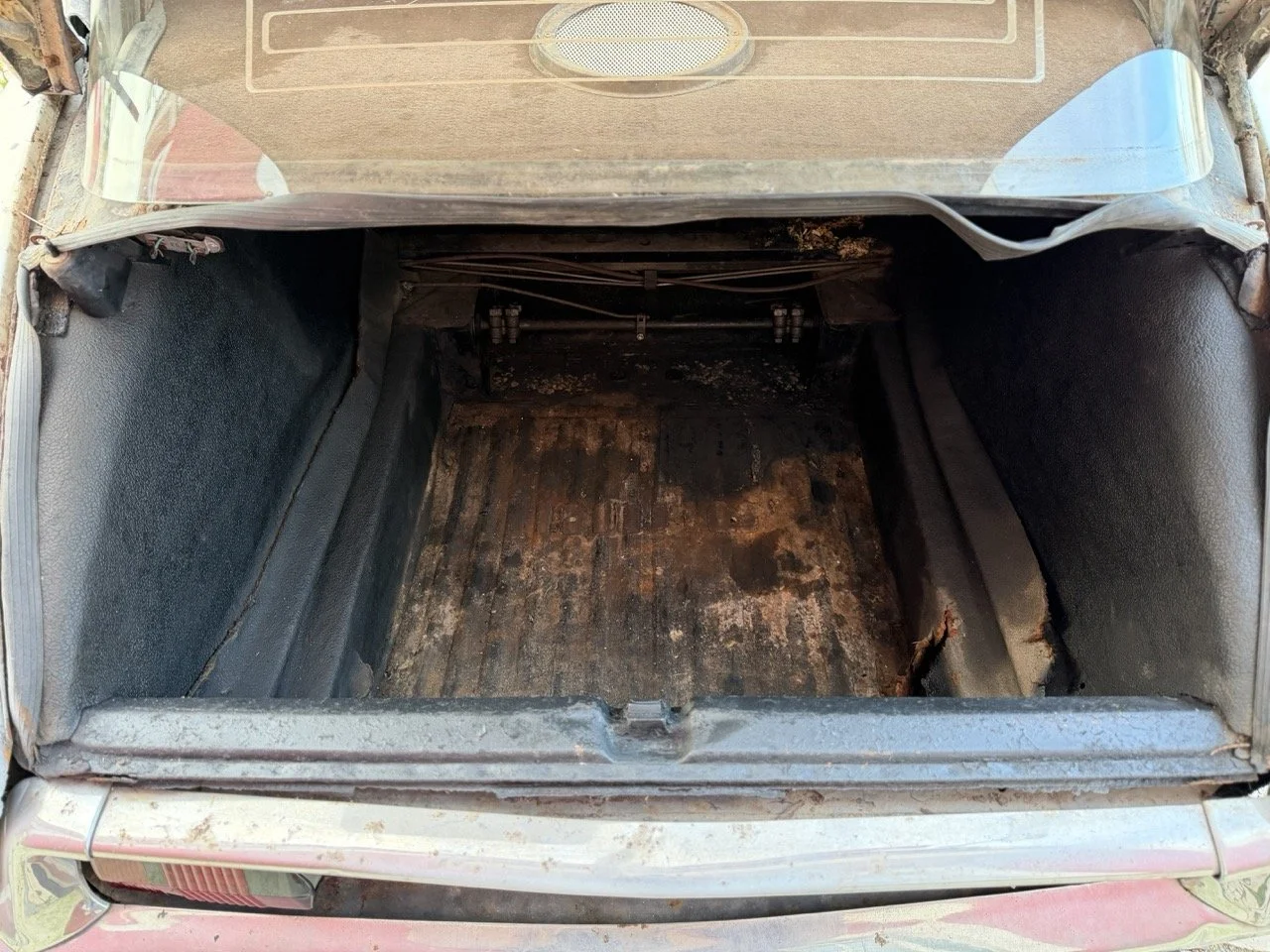 IMG_5943 2 – grande.jpeg