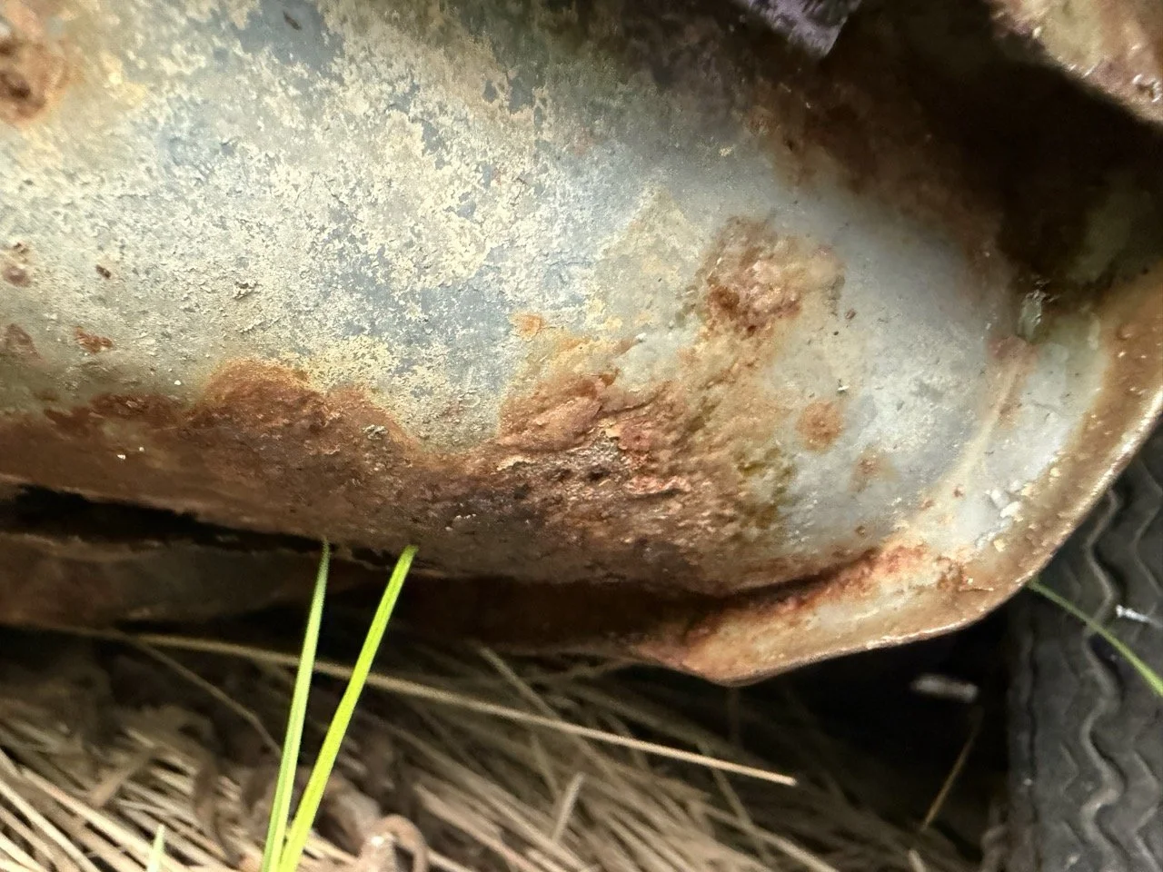 IMG_8563 – grande.jpeg