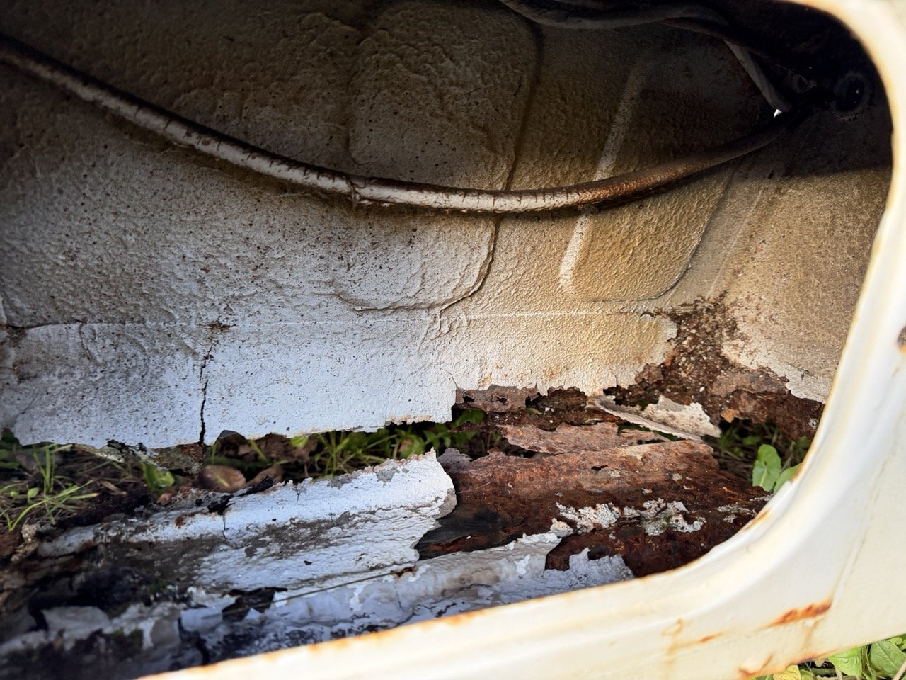 IMG_0906 – grande.jpeg