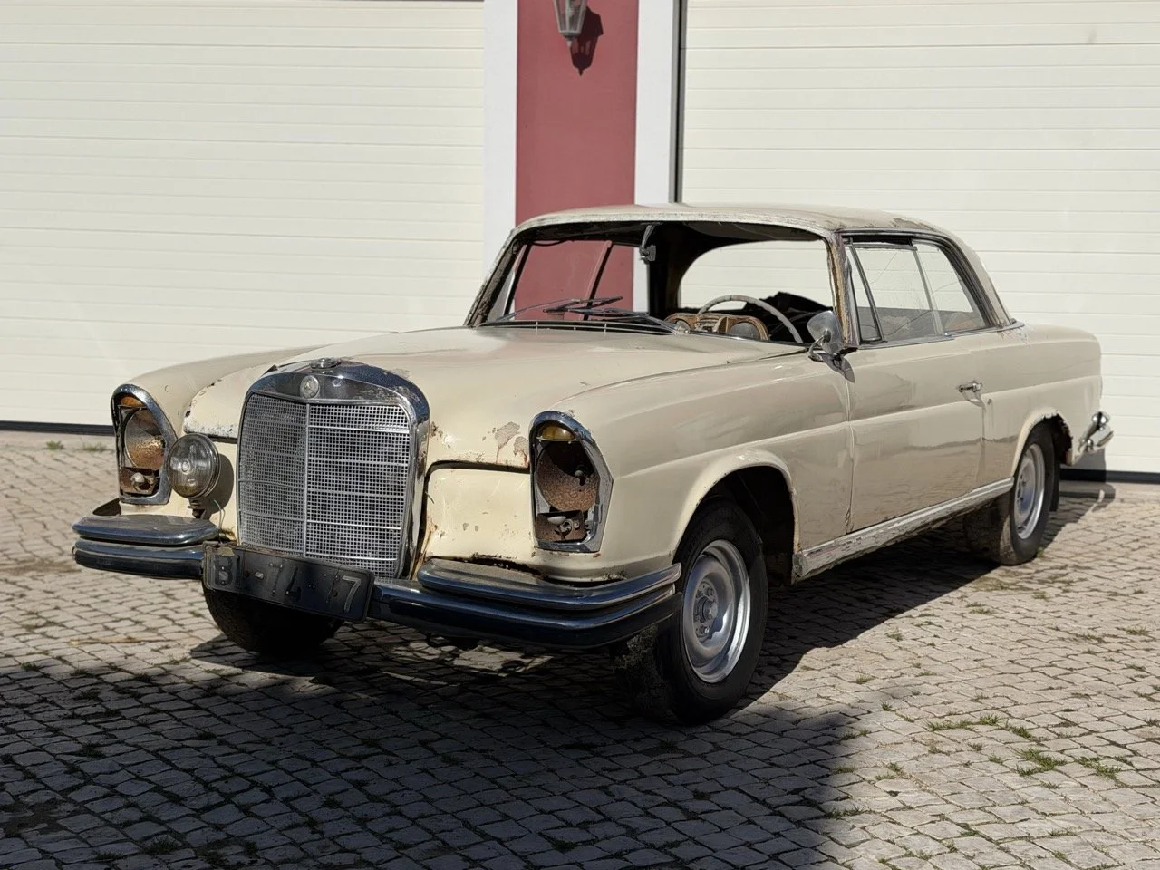 IMG_6964 – grande.jpeg