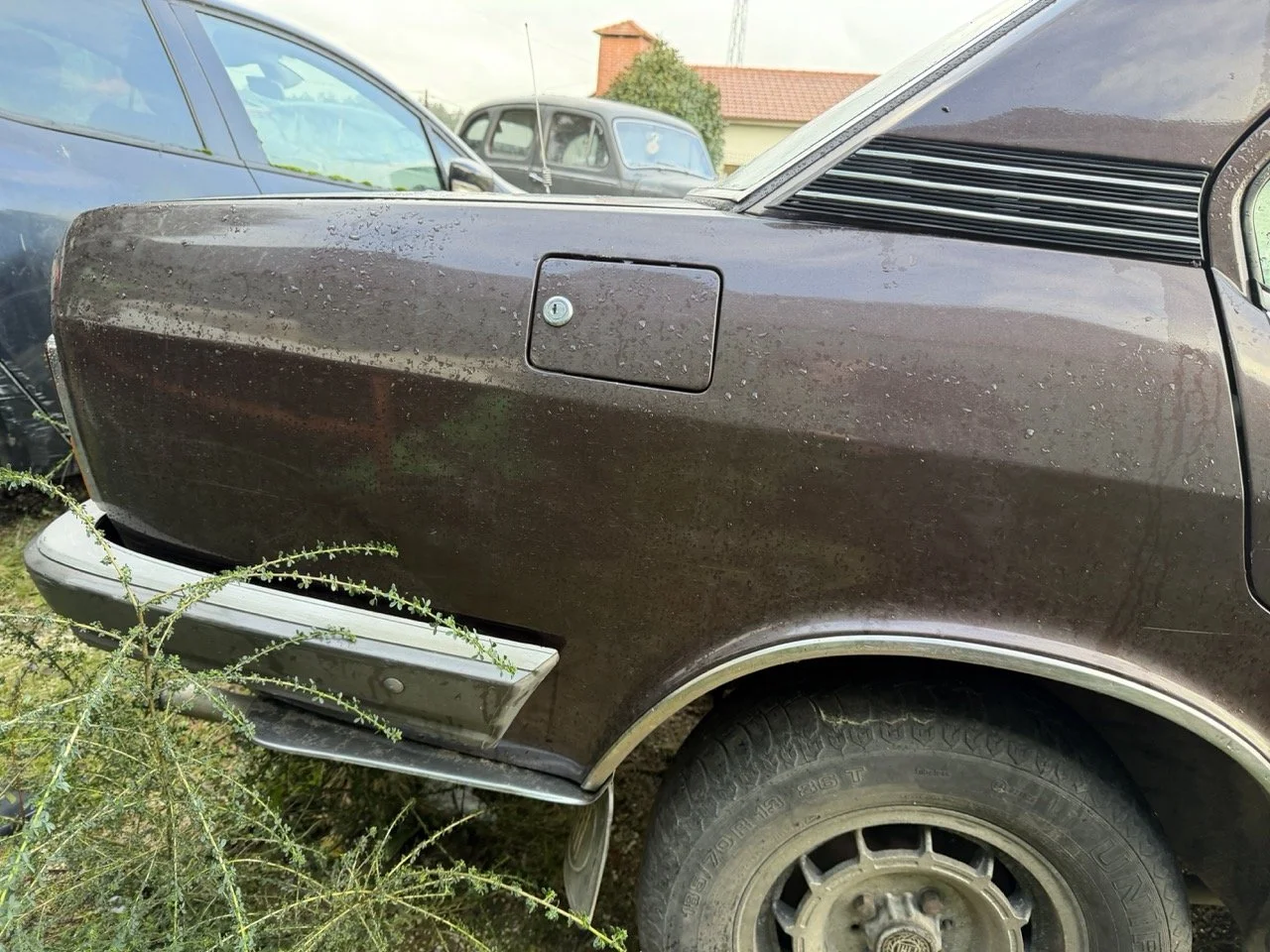 IMG_5266 – grande.jpeg