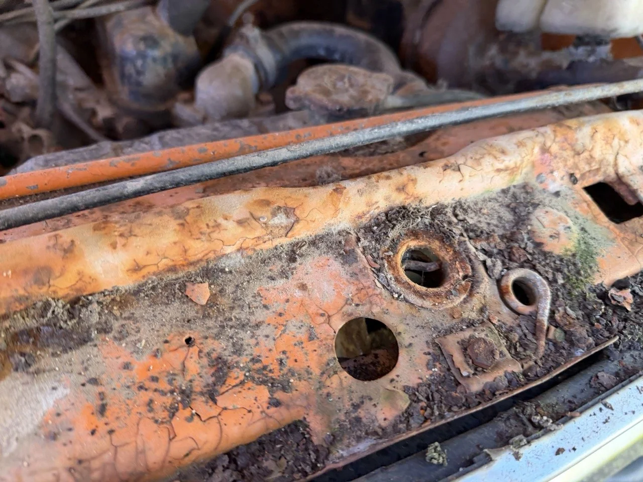 IMG_7722 – grande.jpeg