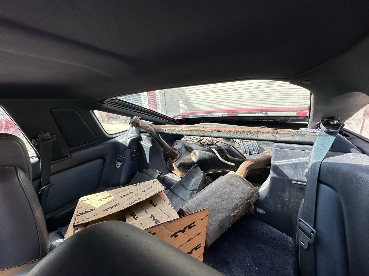 IMG_7197 – grande.jpeg