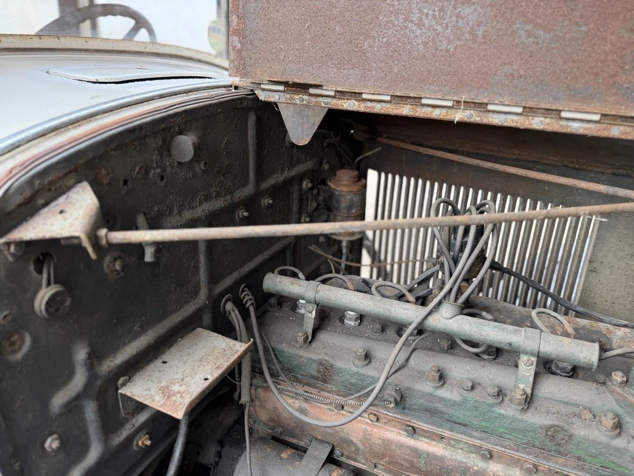 IMG_1696 – grande.jpeg