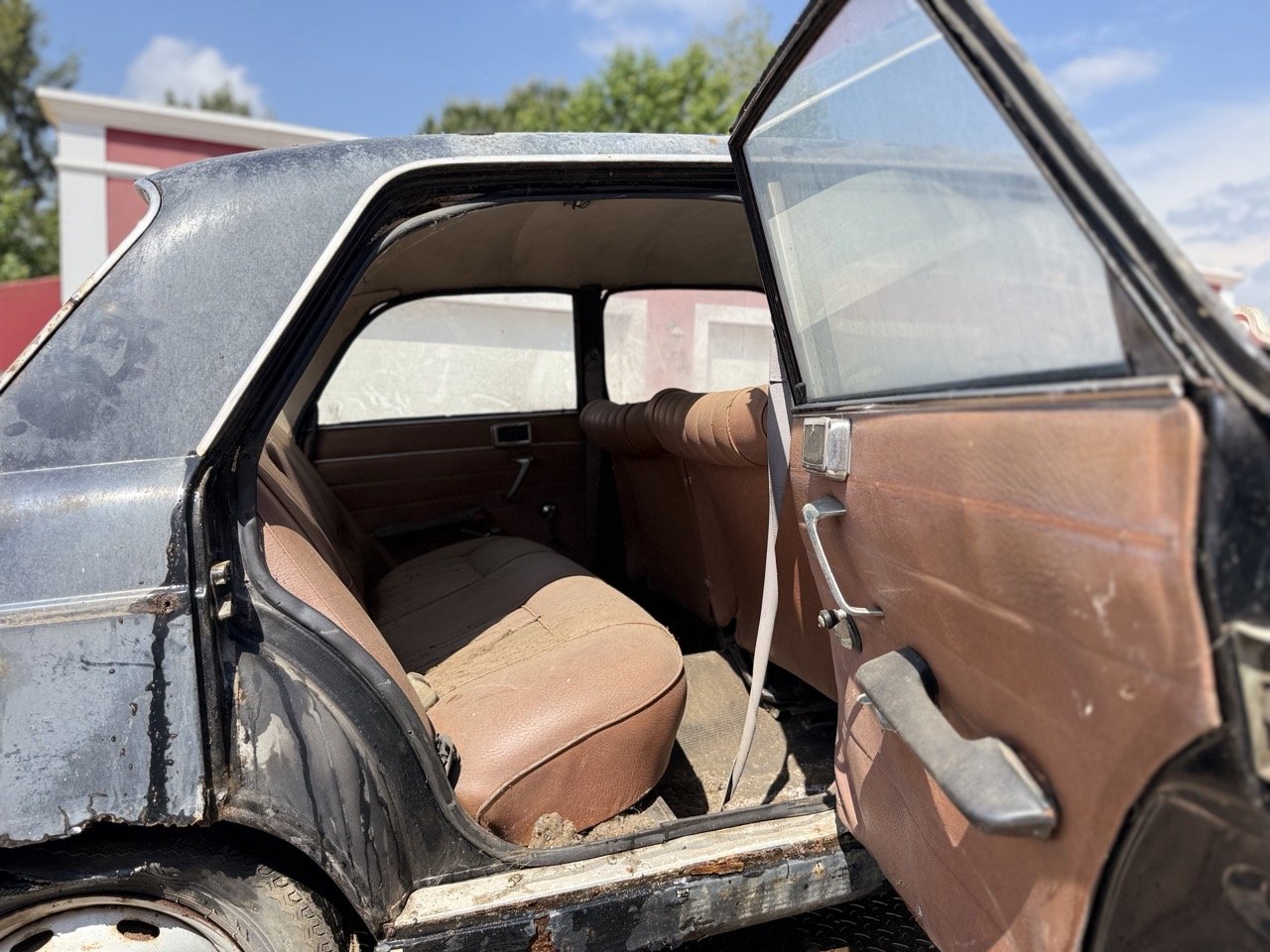 IMG_3468 – grande.jpeg