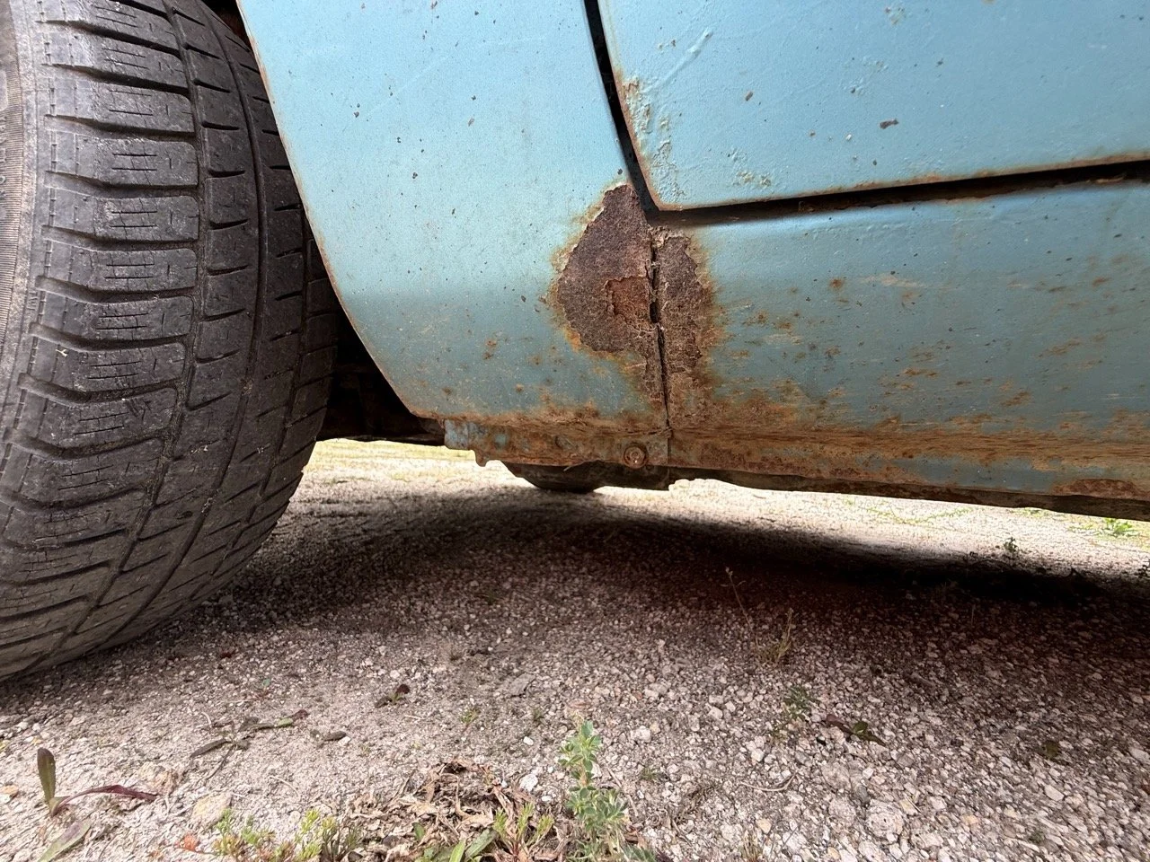 IMG_1560 – grande.jpeg