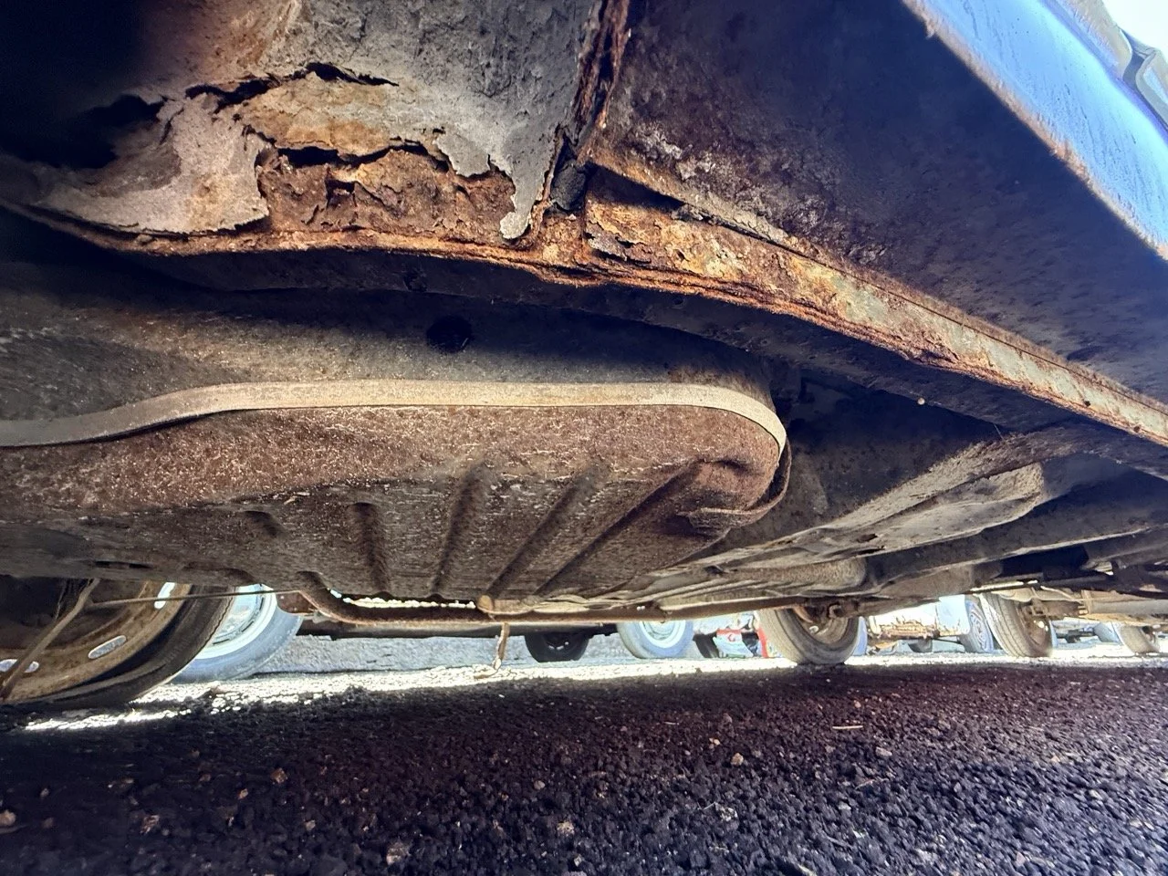 IMG_0893 – grande.jpeg