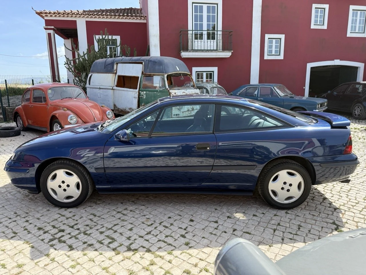 IMG_2388 – grande.jpeg