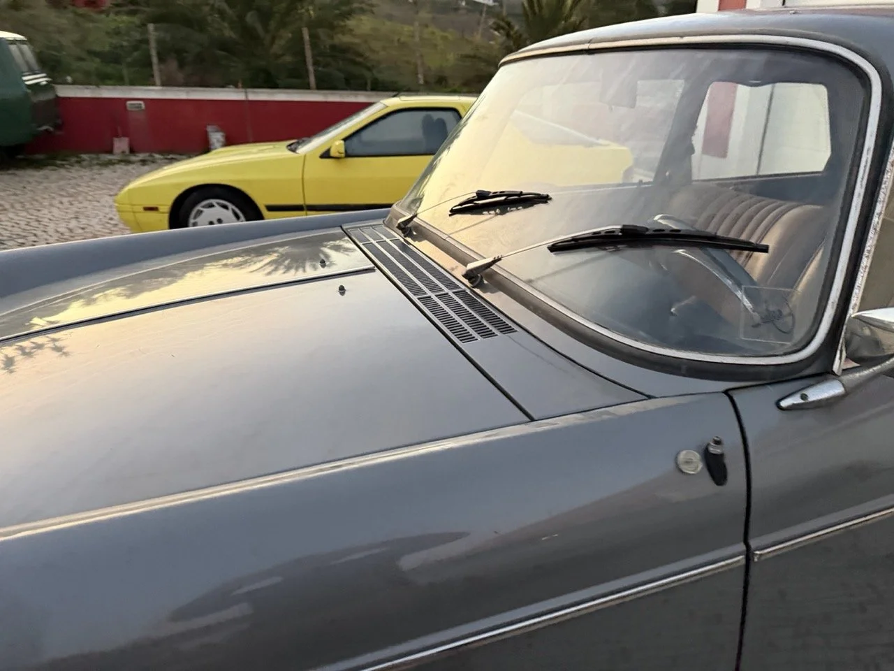 IMG_7538 – grande.jpeg