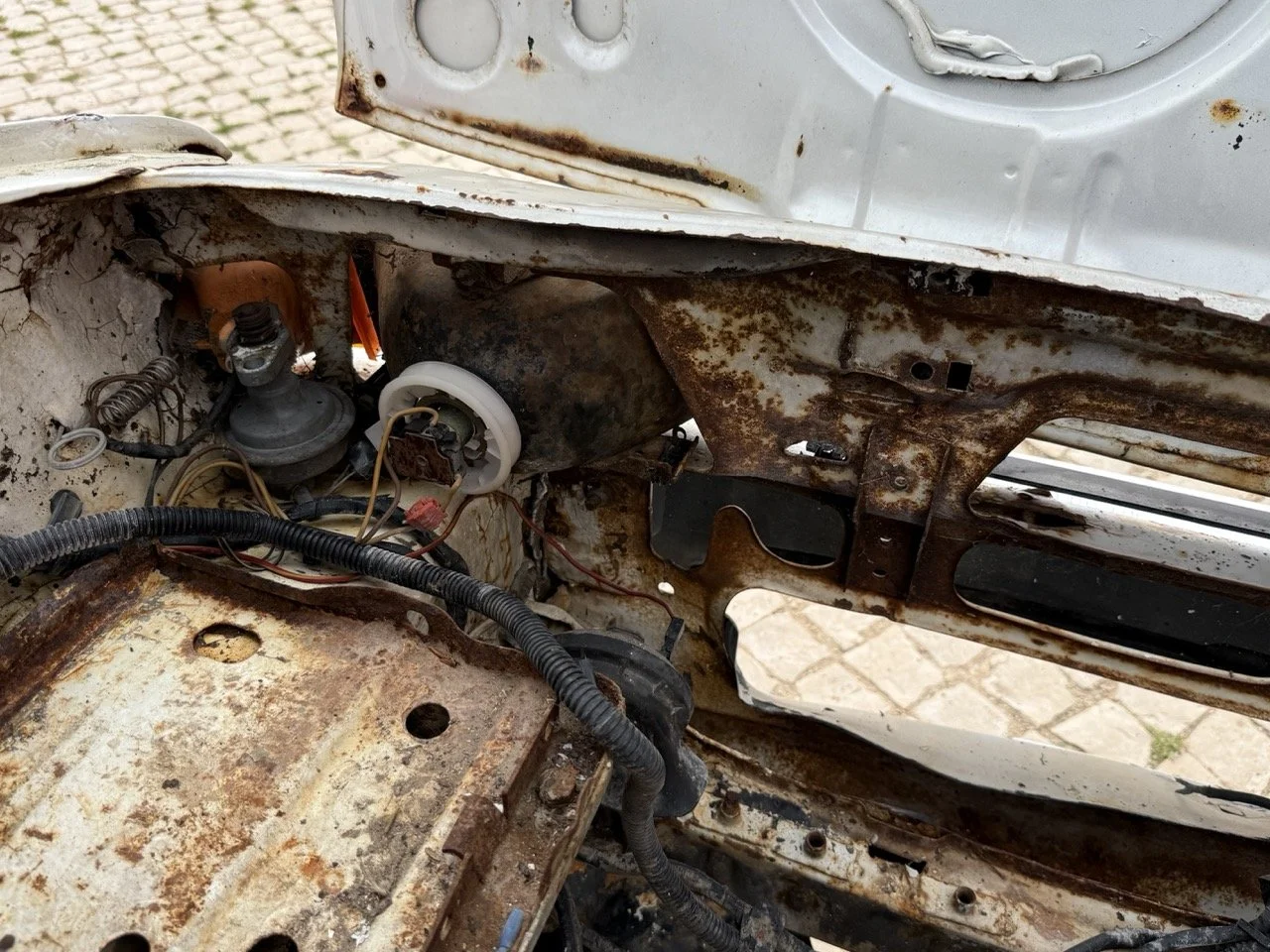 IMG_8567 – grande.jpeg