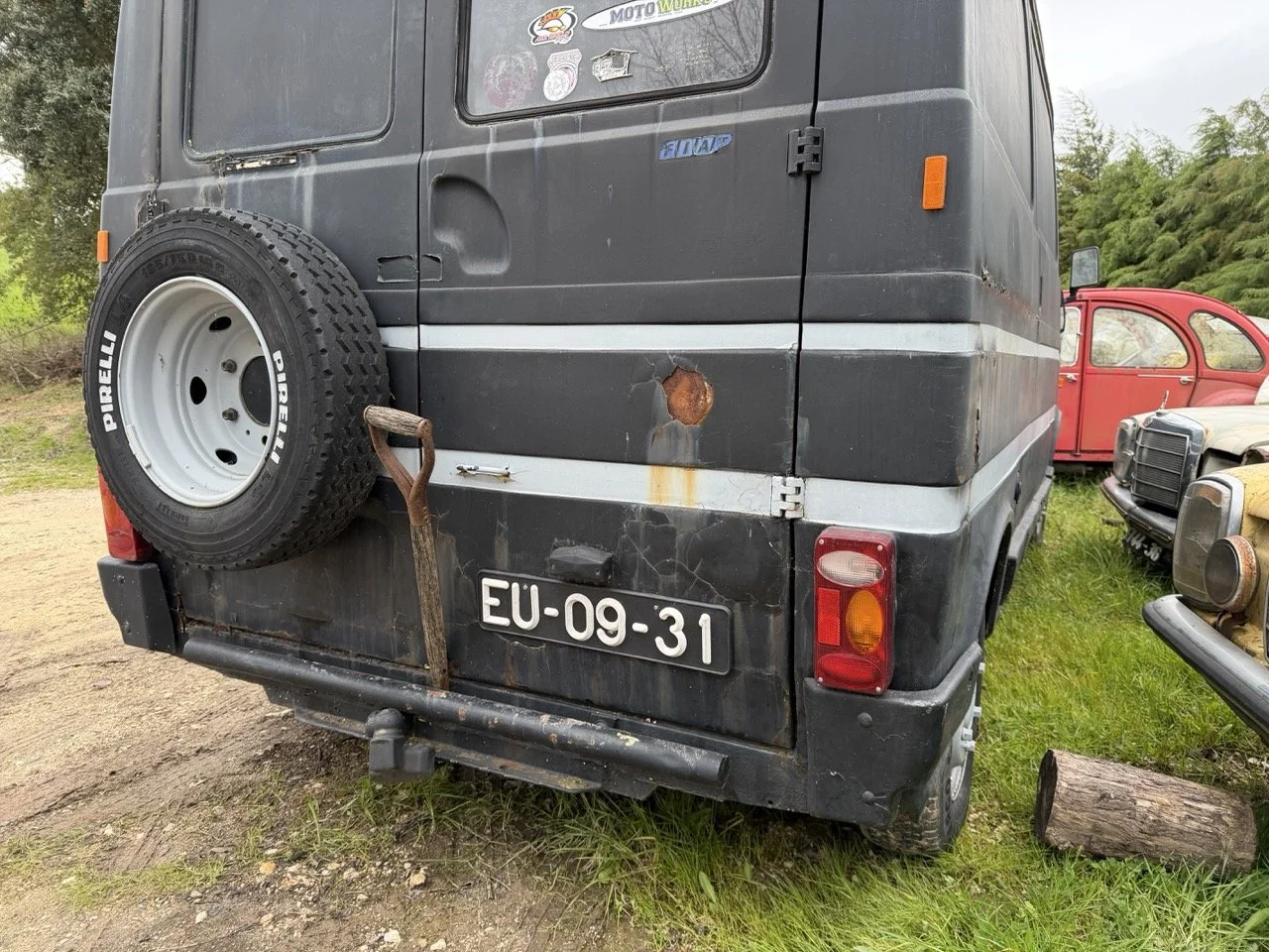 IMG_1320 – grande.jpeg