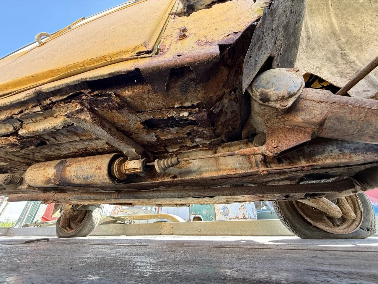 IMG_9138 – grande.jpeg