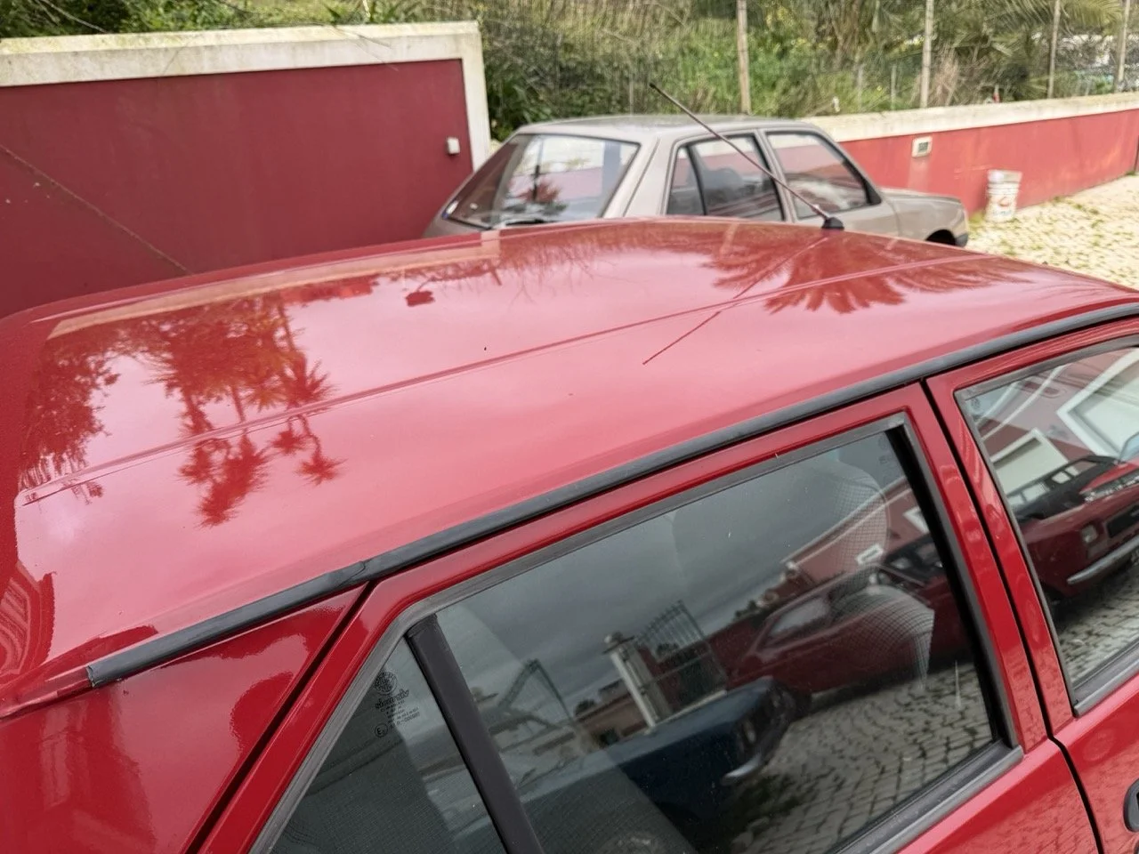 IMG_3509 – grande.jpeg