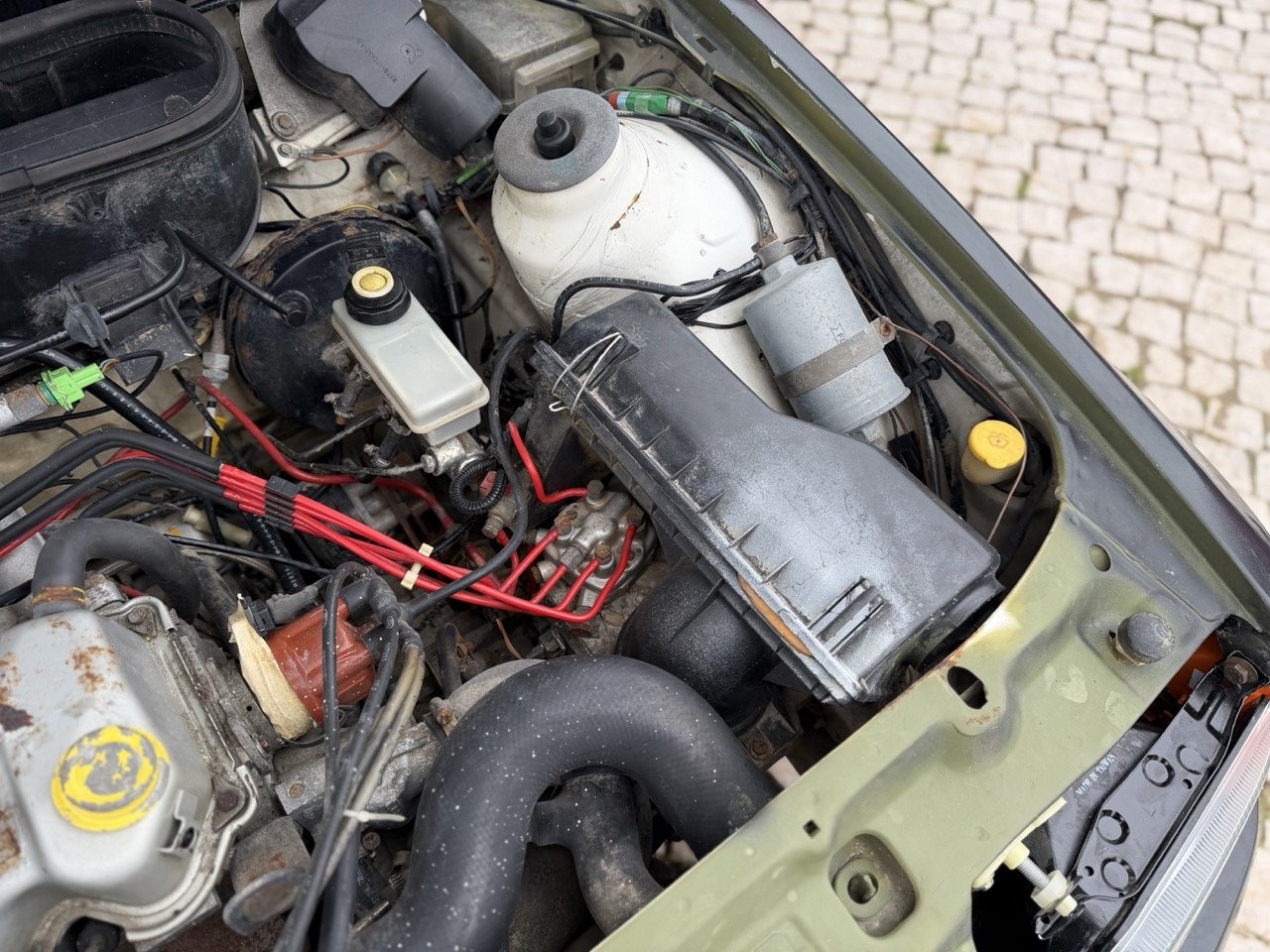 IMG_1344 – grande.jpeg