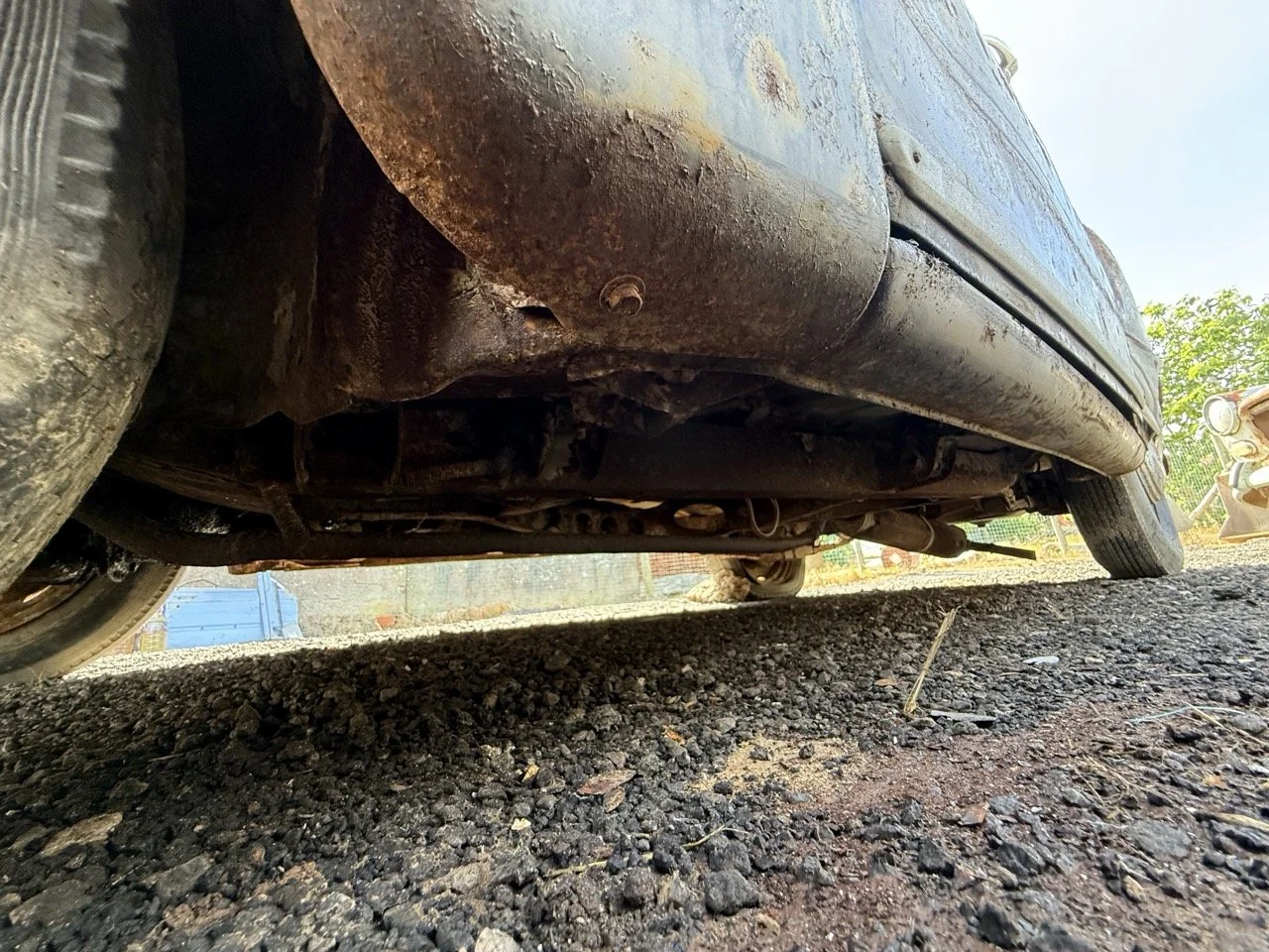 IMG_0449 – grande.jpeg