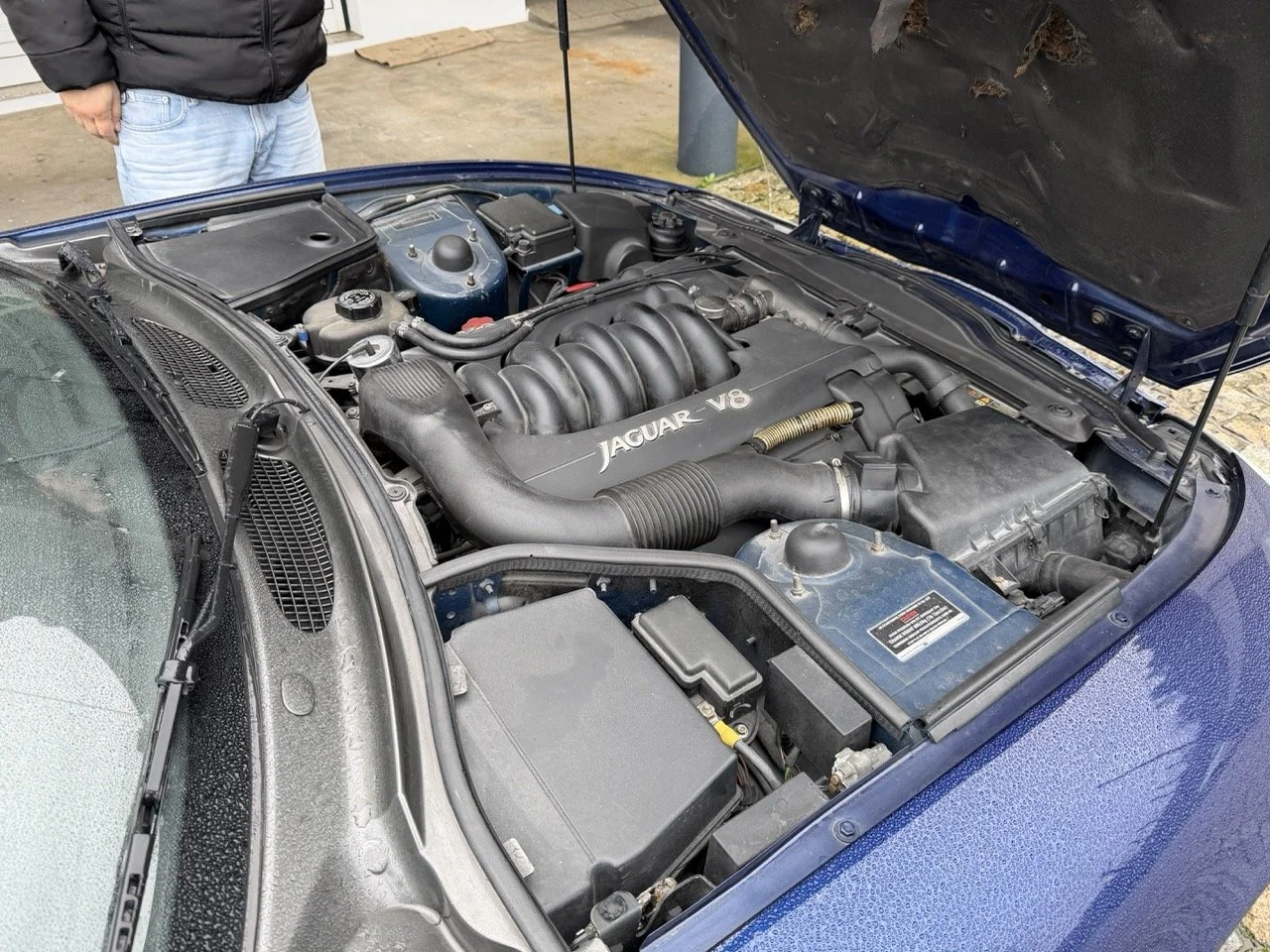 IMG_3639 – grande.jpeg