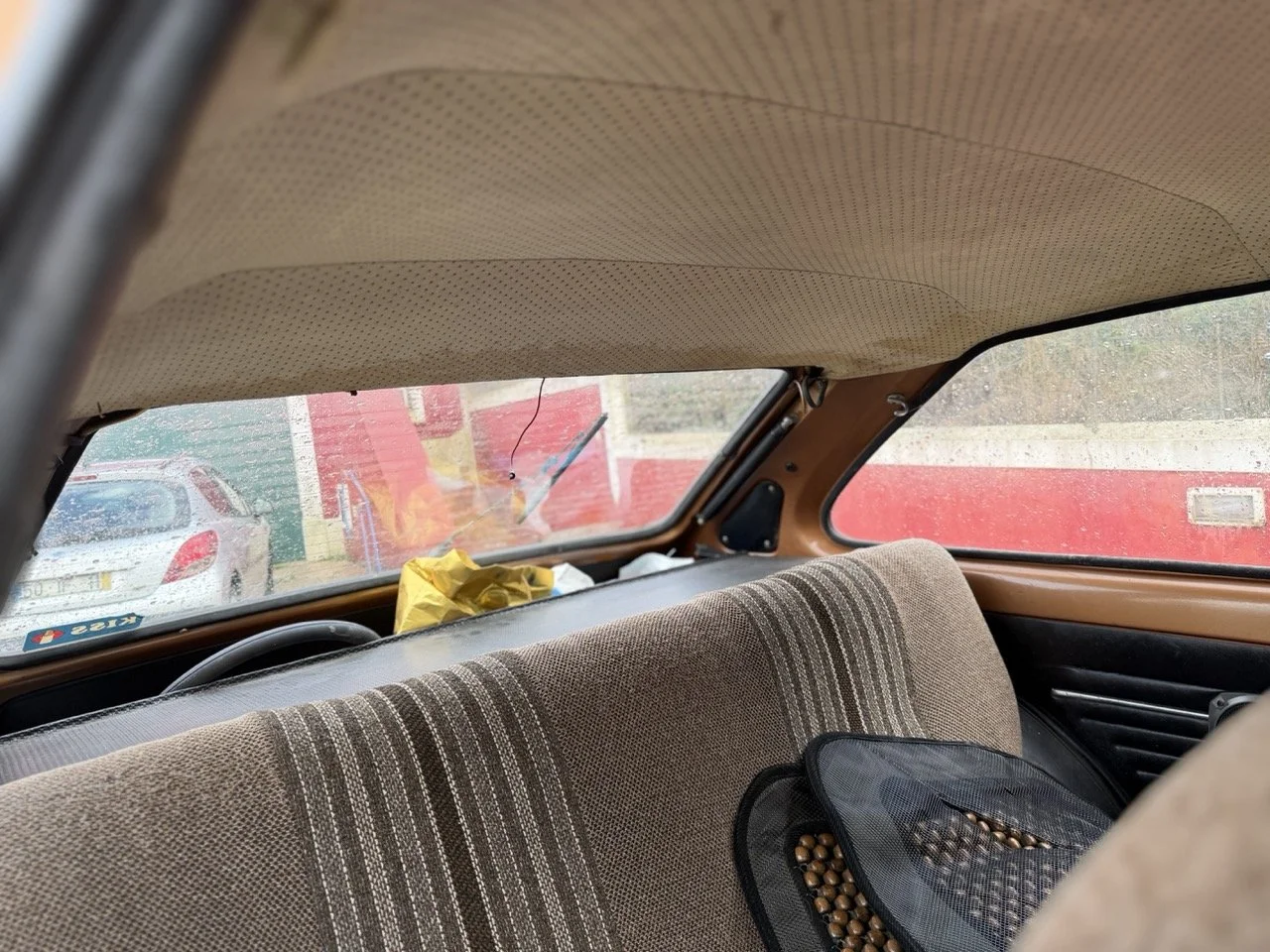 IMG_8730 – grande.jpeg